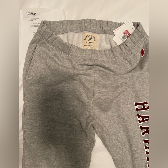 Harvard 🎒🏫 Essential Jogger Pant Unisex Youth Size XL NWT from The COOP - Picture 3 of 4